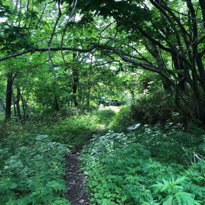Noboribetsu Kameda Memorial Park walking route map in Noboribetsu