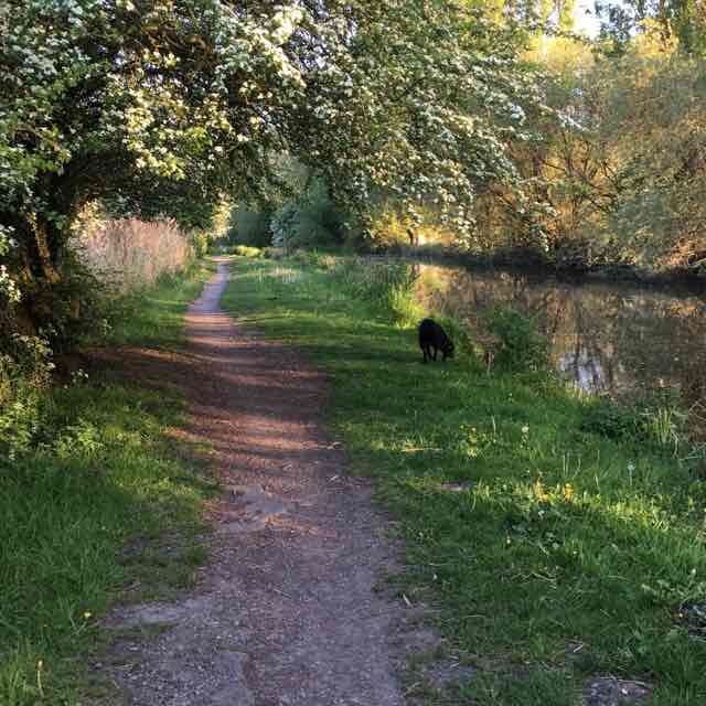 5 mile loop of Erewash and Nottingham canals