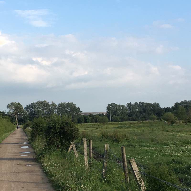 Bennerley Viaduct