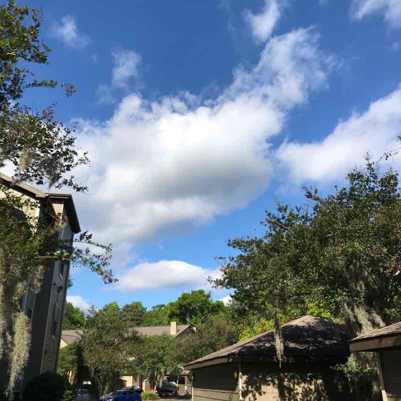 Starbucks Walk walking route map in Wilmington Island