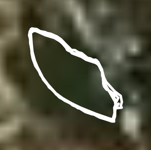 Чан вечерняя пробежка