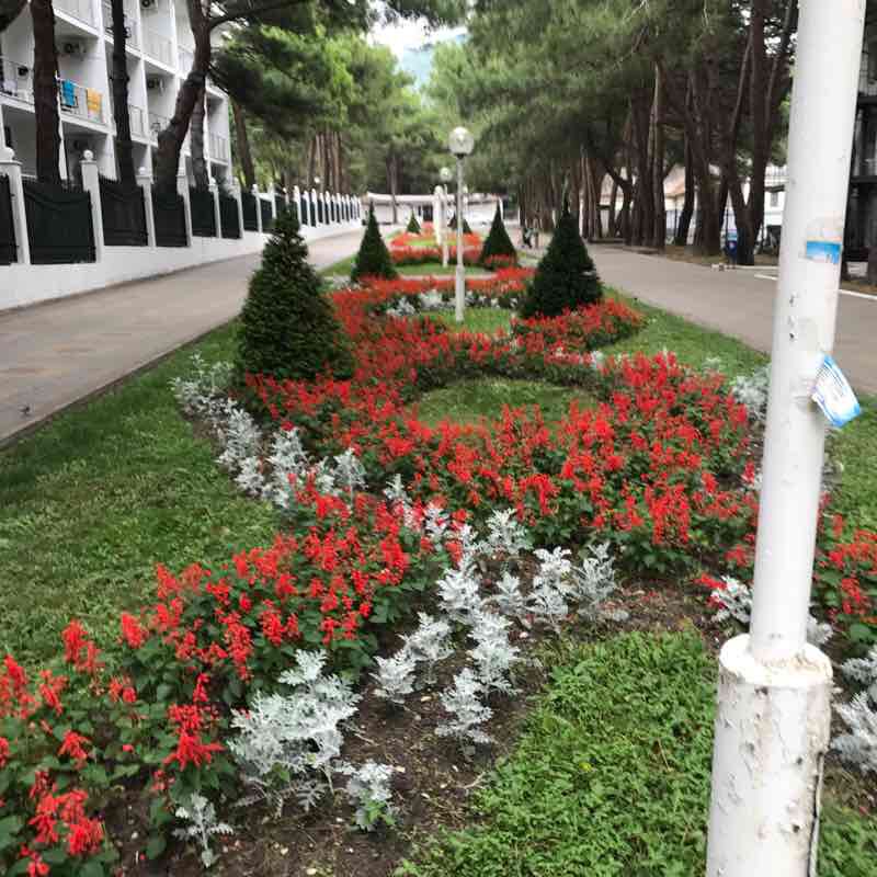 Геленджик 2019