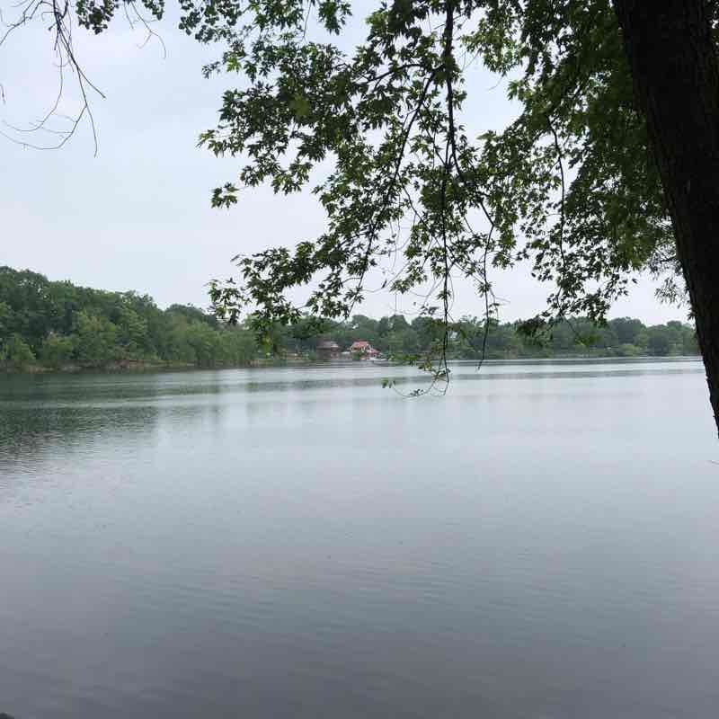 Jamaica Pond Walk Trail Jamaica Plain, Massachusetts, USA Pacer