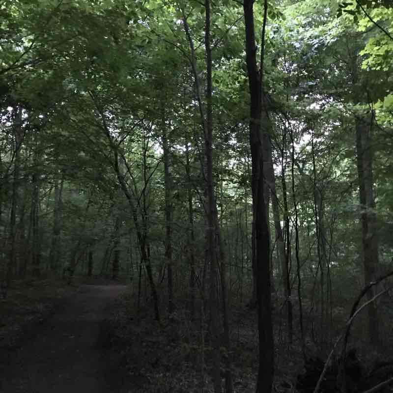 Home 💕 walking route map in Waveland