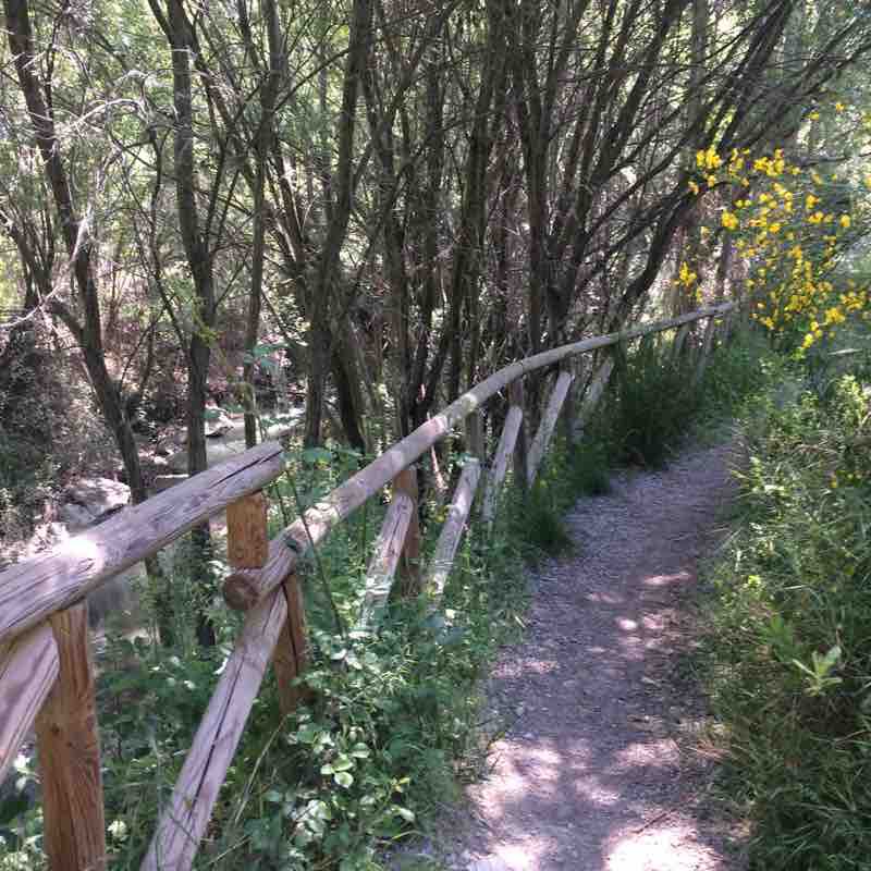 Genil Run Trail Granada, Spain Pacer