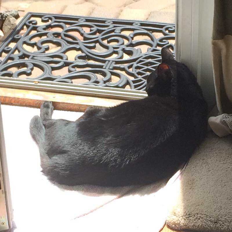 Easton Addition walking route map in San Mateo