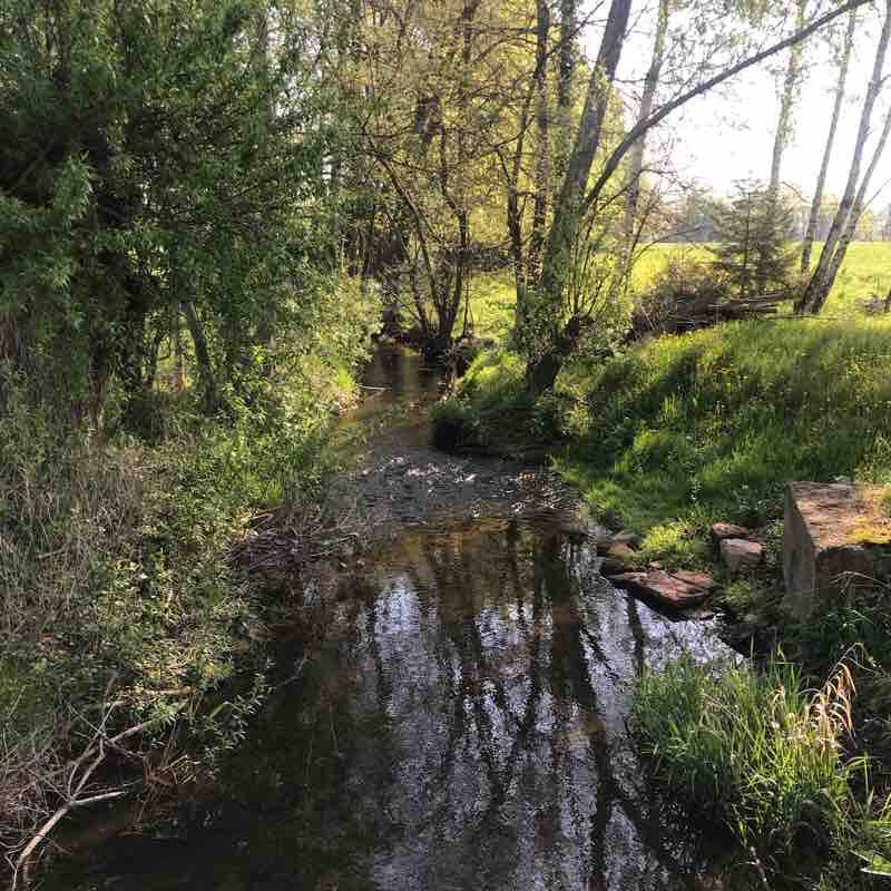 Altorf Forest walking route map in Altorf