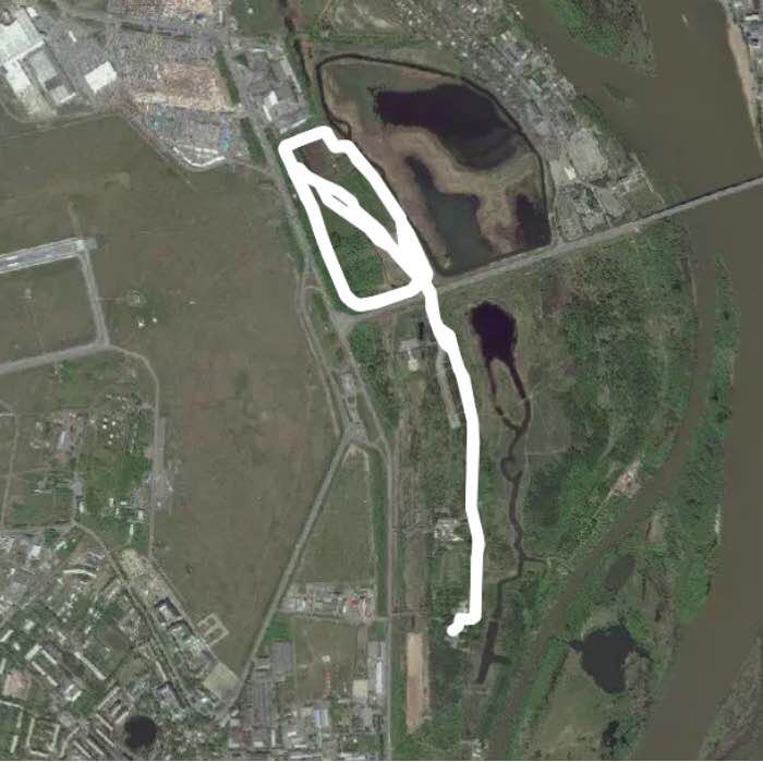 гостиница Ника - парк Победы - Птичья гавань - парк Победы - гостиница Ника