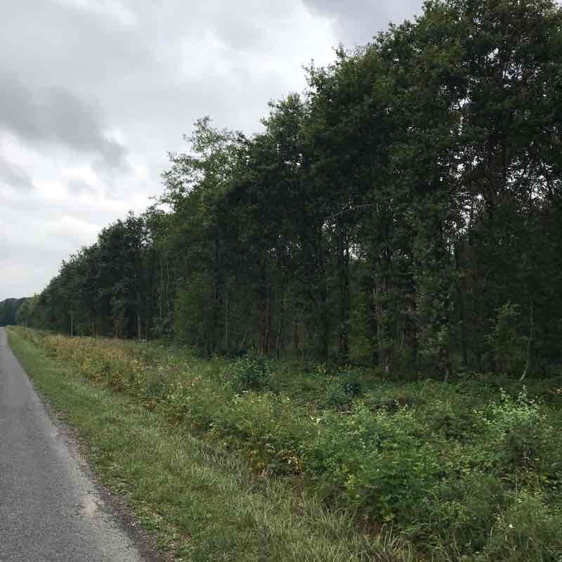 Epernay wood walking route map in Germaine
