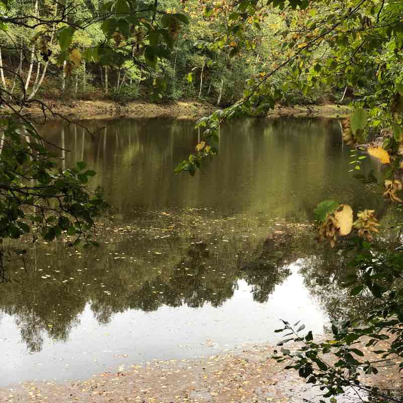 The valley without return walking route map in Paimpont