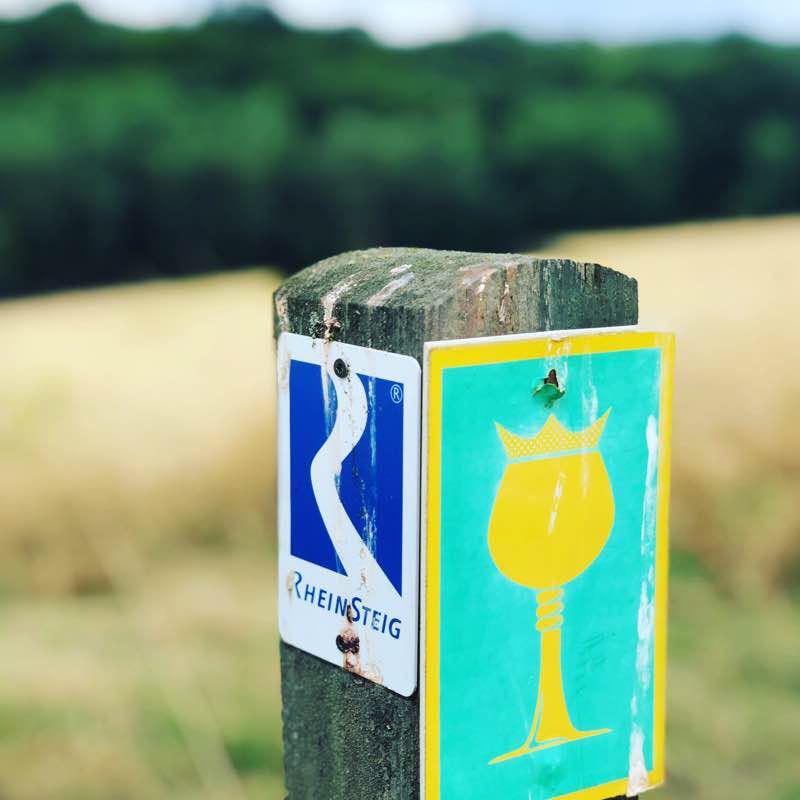 Rheinsteig part 3 walking route map in Kiedrich