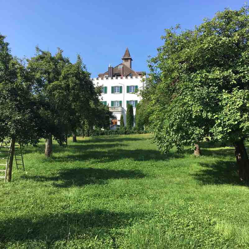Liebburg walking route map in Landschlacht