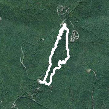 Amicalola Falls Trail 