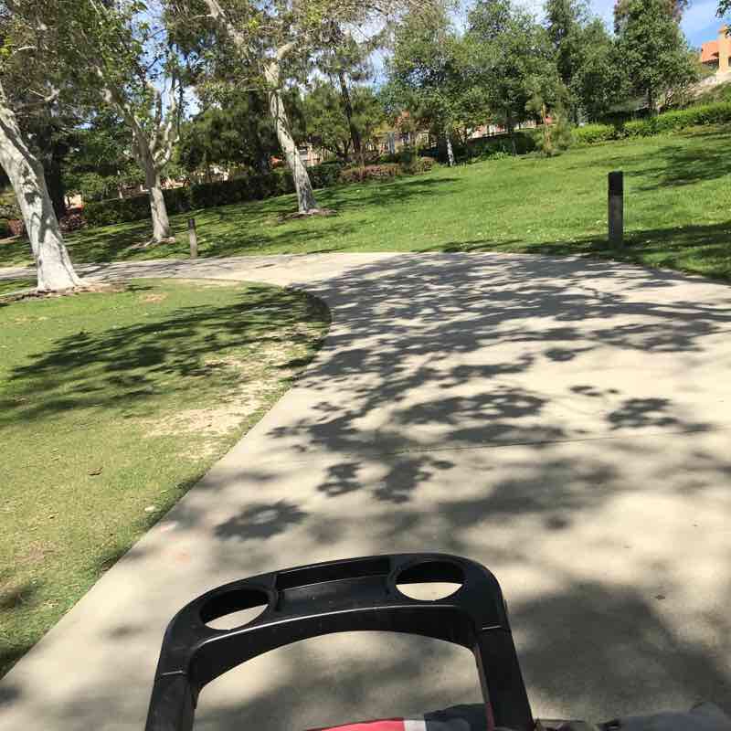 Thursday Morning Walk