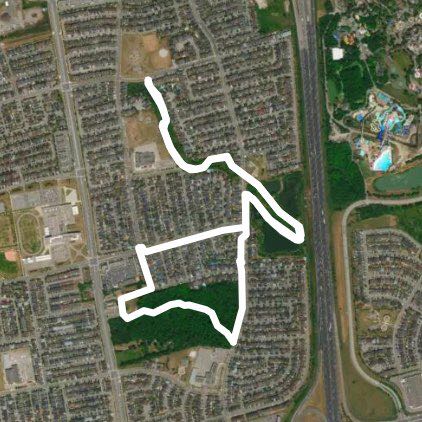 evening walk May 7tg