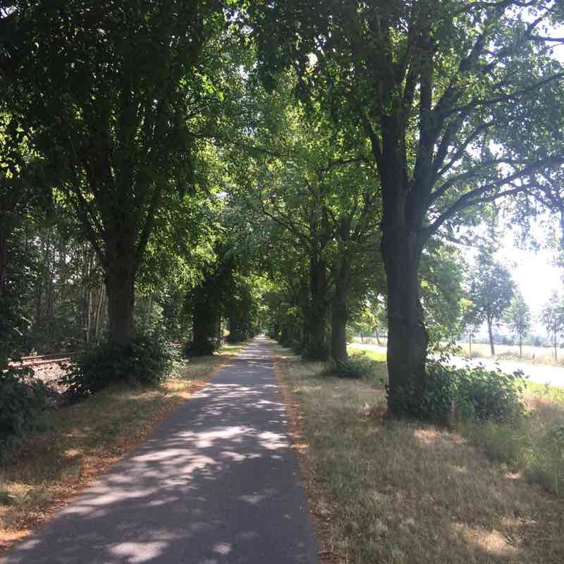 Go & Fischerfest walking route map in Greifswald