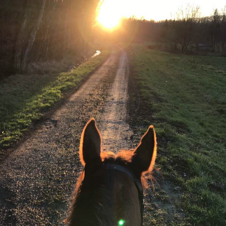 Forest walk 2h walking route map in Auxon