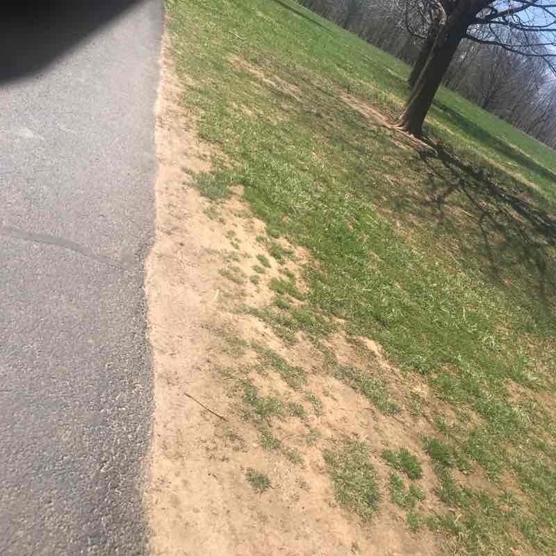 Thompson park