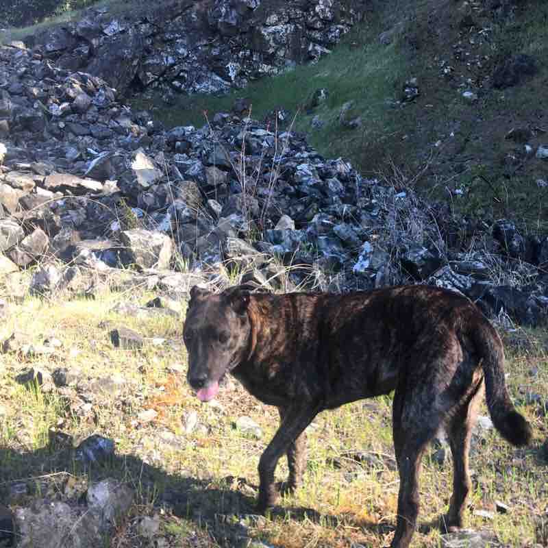 Quarry Loop walking route map in Corvallis