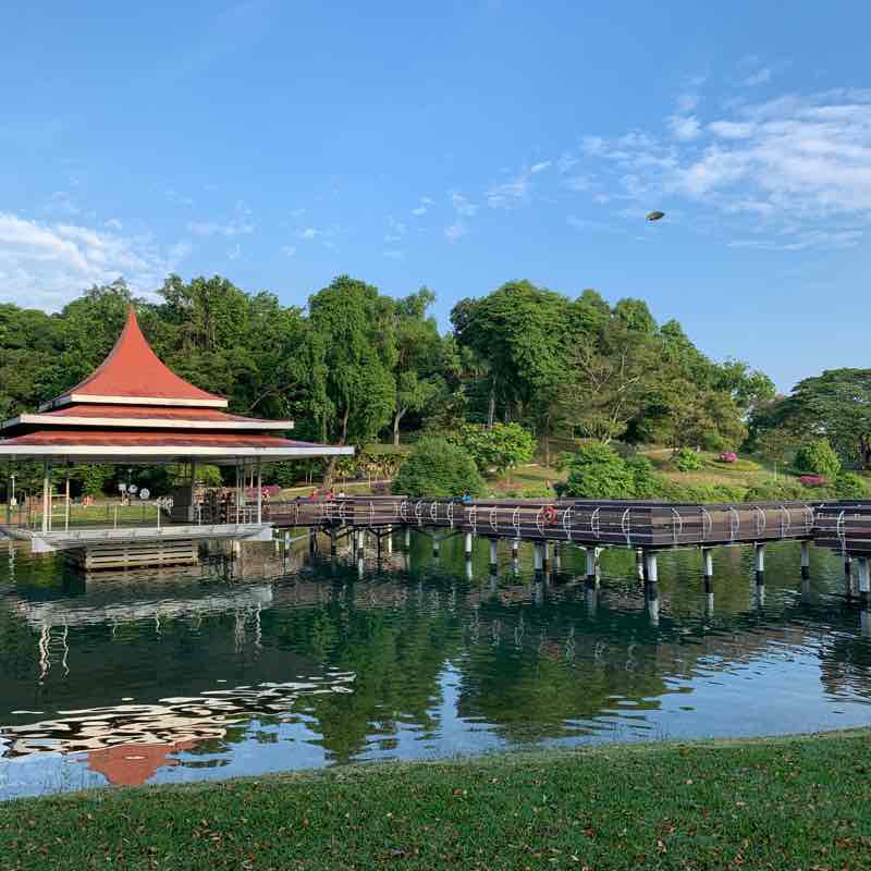 MacRitchie Reservoir Singapore 