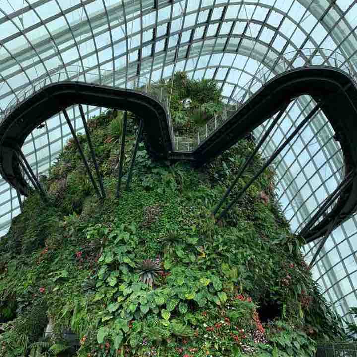 Garden Bu The Bay walk