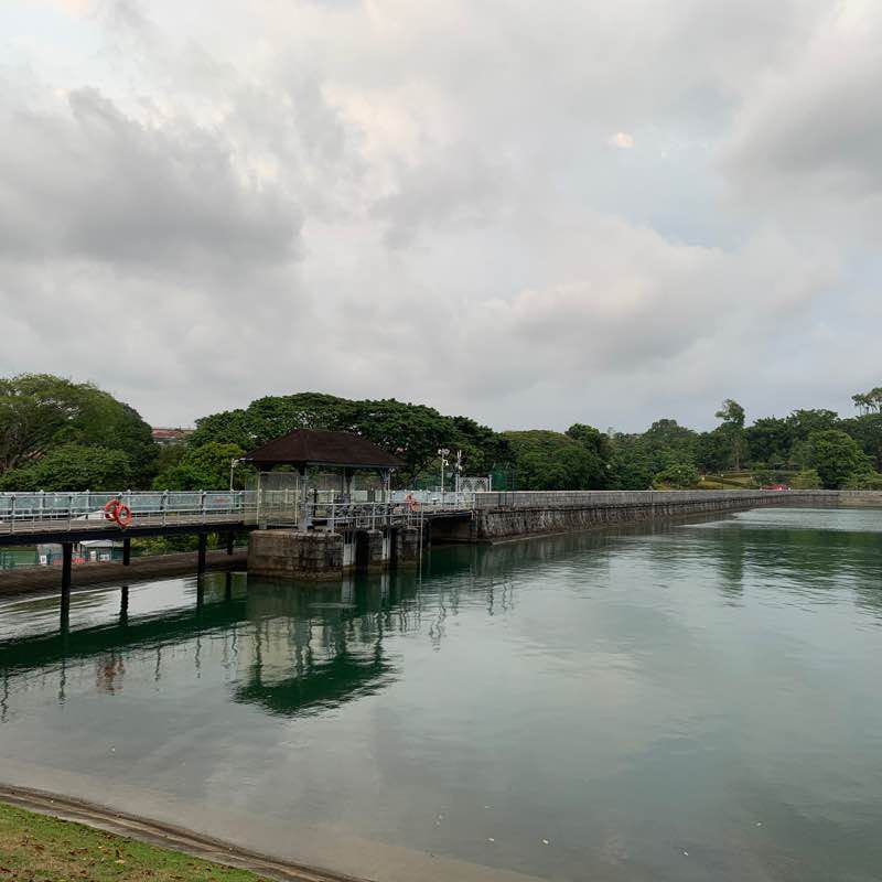 From MacRitchie Reservoir to Bukit Timah Natural R