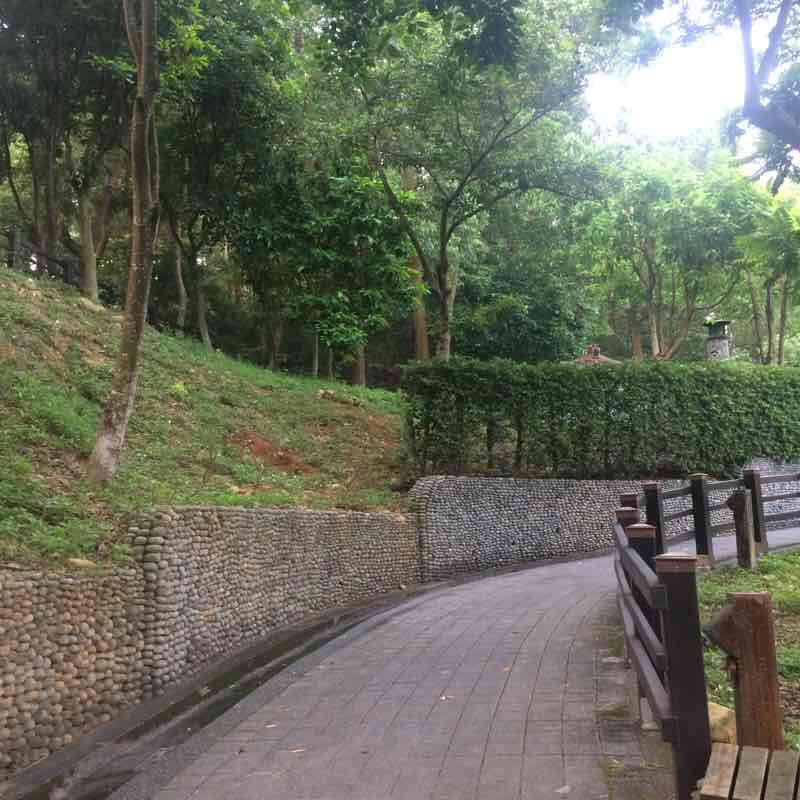 養生文化村 停車場區域