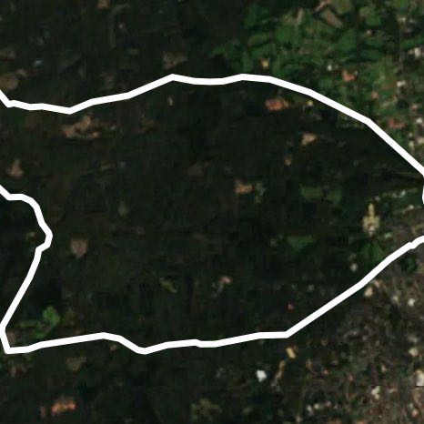 Rondje bos