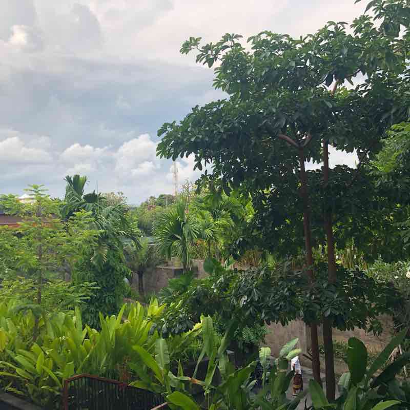 Seminyak Embankment walking route map in Kuta