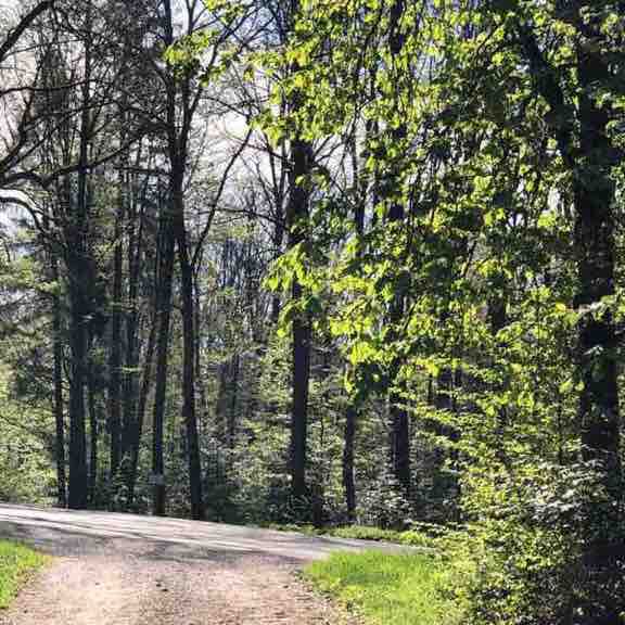 Goldbach -Westgartshausen forest walking route map in Kreßberg