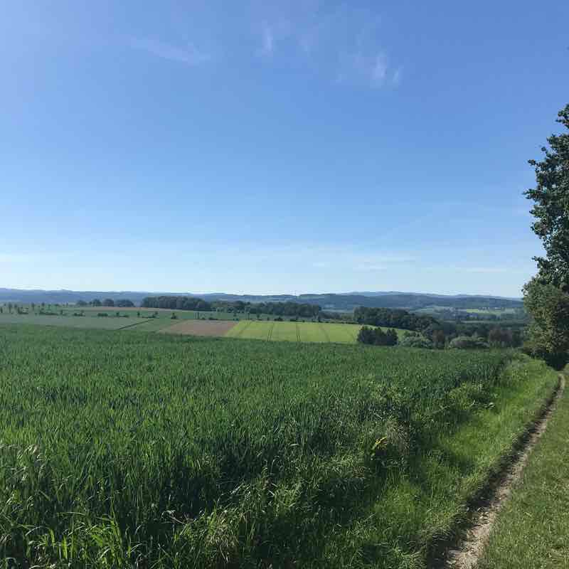 Panorama Surprise walking route map in Fröndenberg/Ruhr