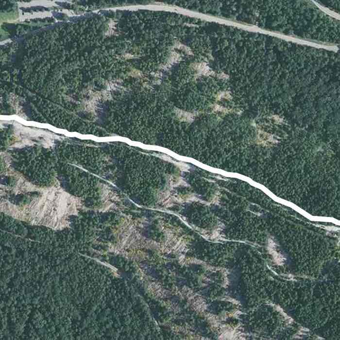 Stone Mountain Walk Up Trail