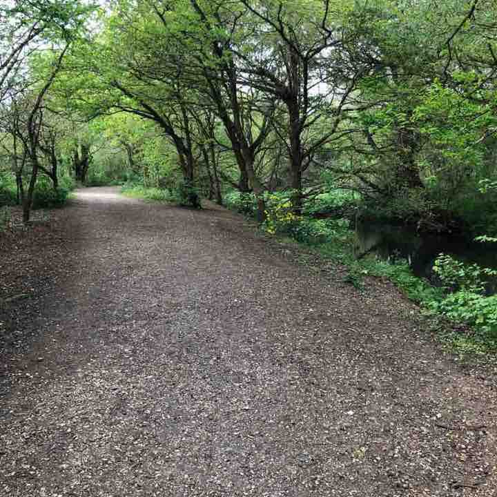 Horseshoe Lake Walk Trail Finchampstead, Wokingham, England Pacer