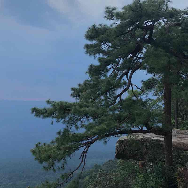 Cliffs at Phu Kradeung walking route map in Si Than