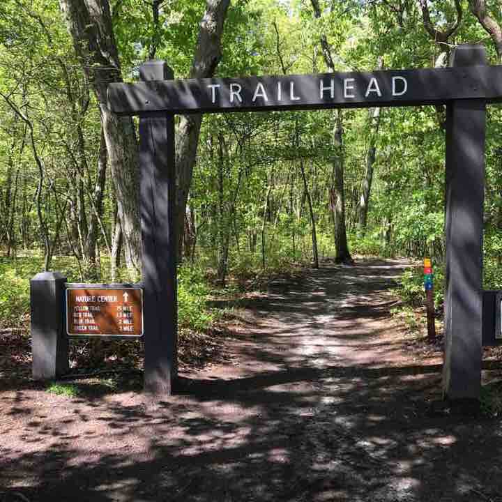 Cheesequake Park Blue Trail Hike Old Bridge, New Jersey, USA Pacer