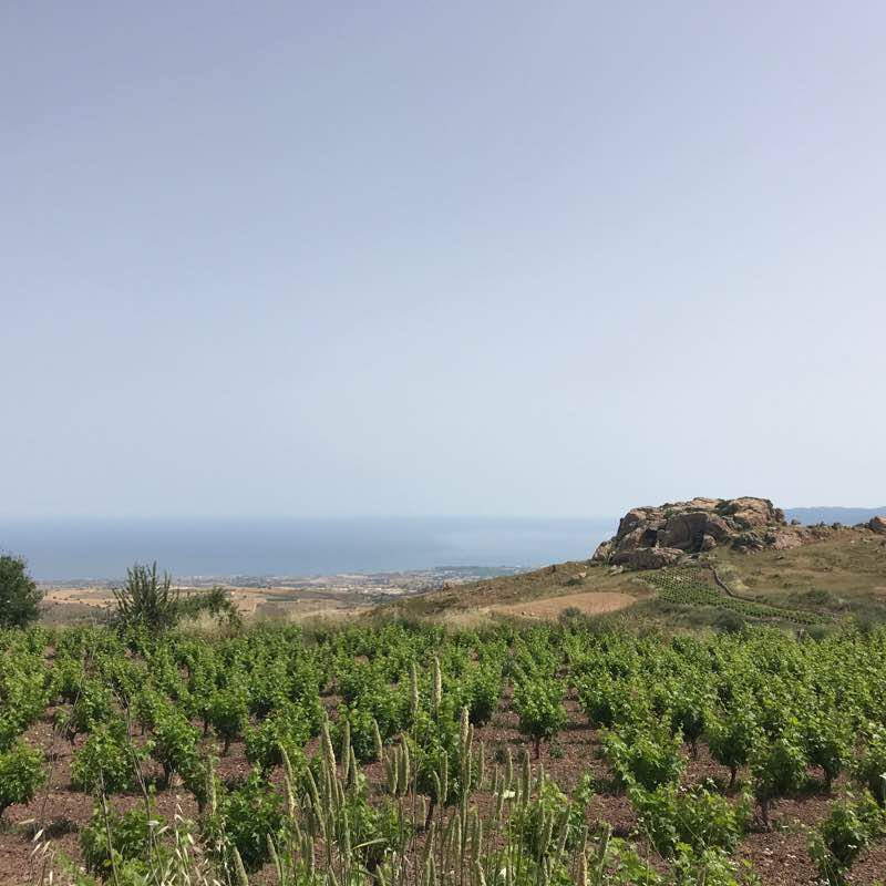 Drouseia Cyprus walking route map in Drouseia