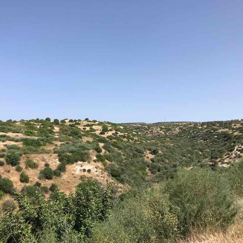 Avdimou Cyprus  walking route map in Düzkaya