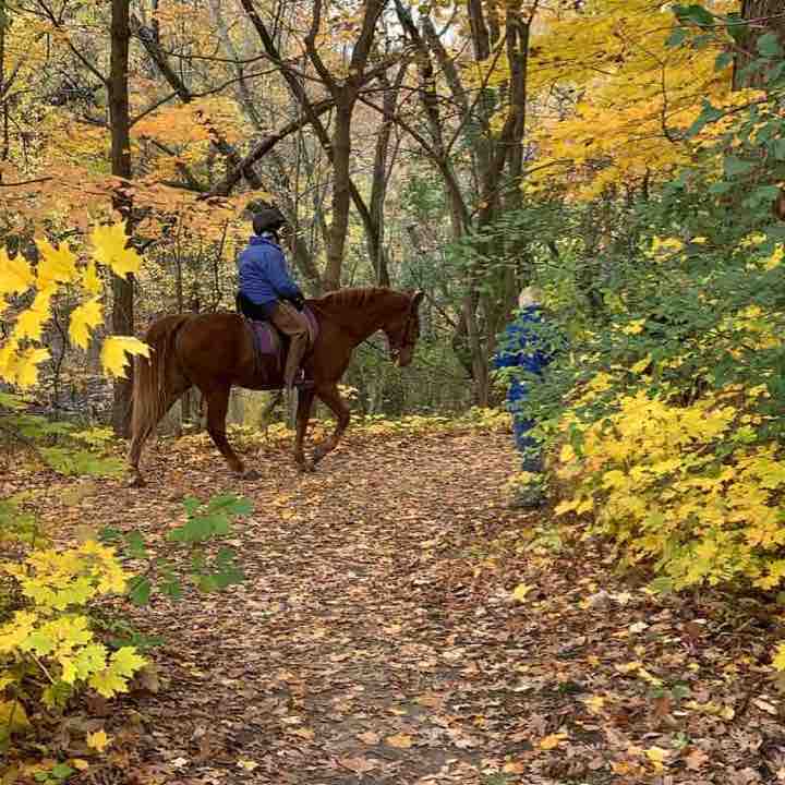 Glenview Woods Trail walking route map in Evanston