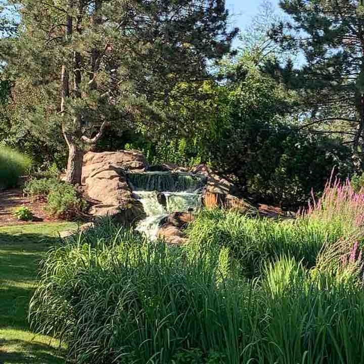 Dunne Park to O’Hare Lake Plaza walking route map in Park Ridge