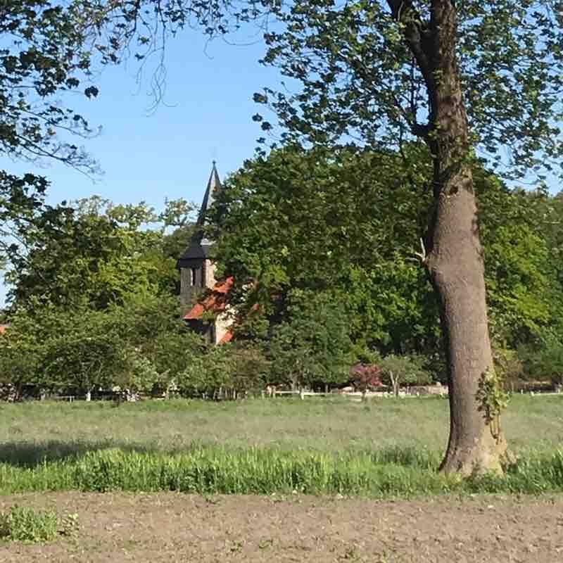 Route around the Old St. Alexander Church, Wallenhor walking route map in Wallenhorst