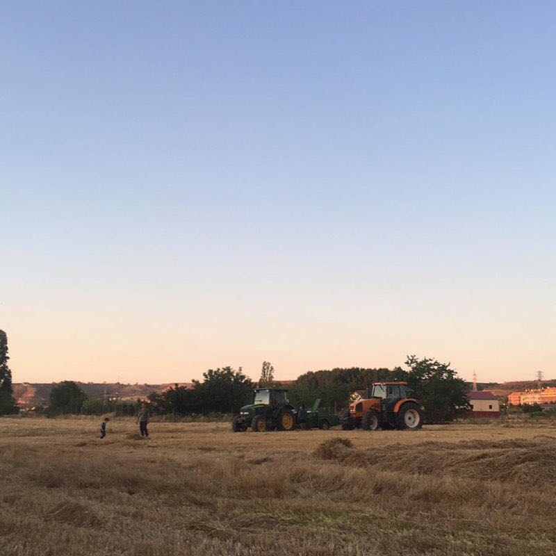 Villamediana / Lardero walking route map in Villamediana de Iregua