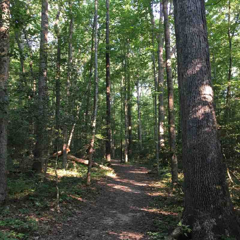 Curtis Memorial Park - Orange Loop