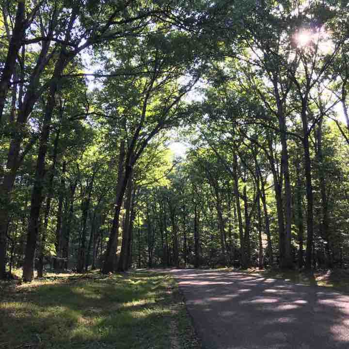 S Lee Drive & Trail Walk Fredericksburg, Virginia, USA Pacer