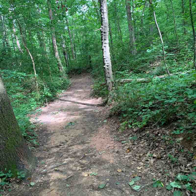 East Cobb Park Walking/Hiking trail Marietta, USA Pacer