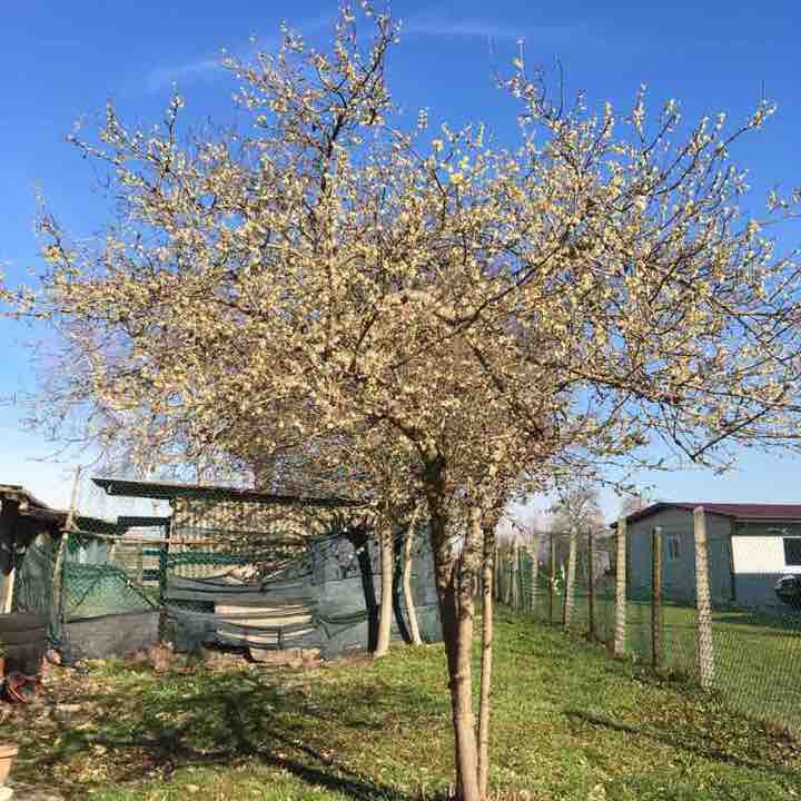 Percorsoabituale walking route map in Ca' Matte