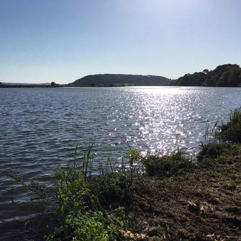 Ballade at the Port of Foleux walking route map in Nivillac