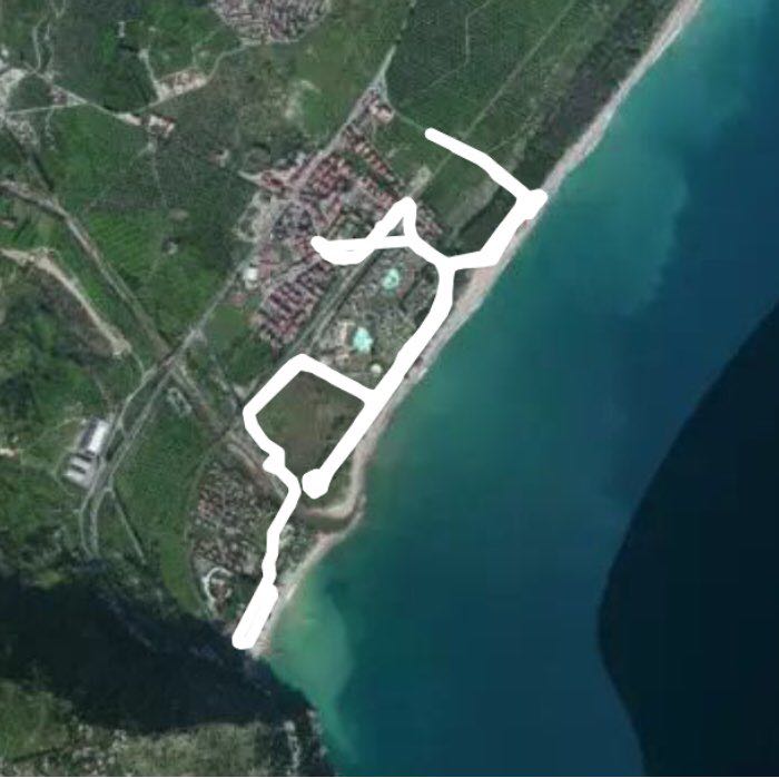 mare