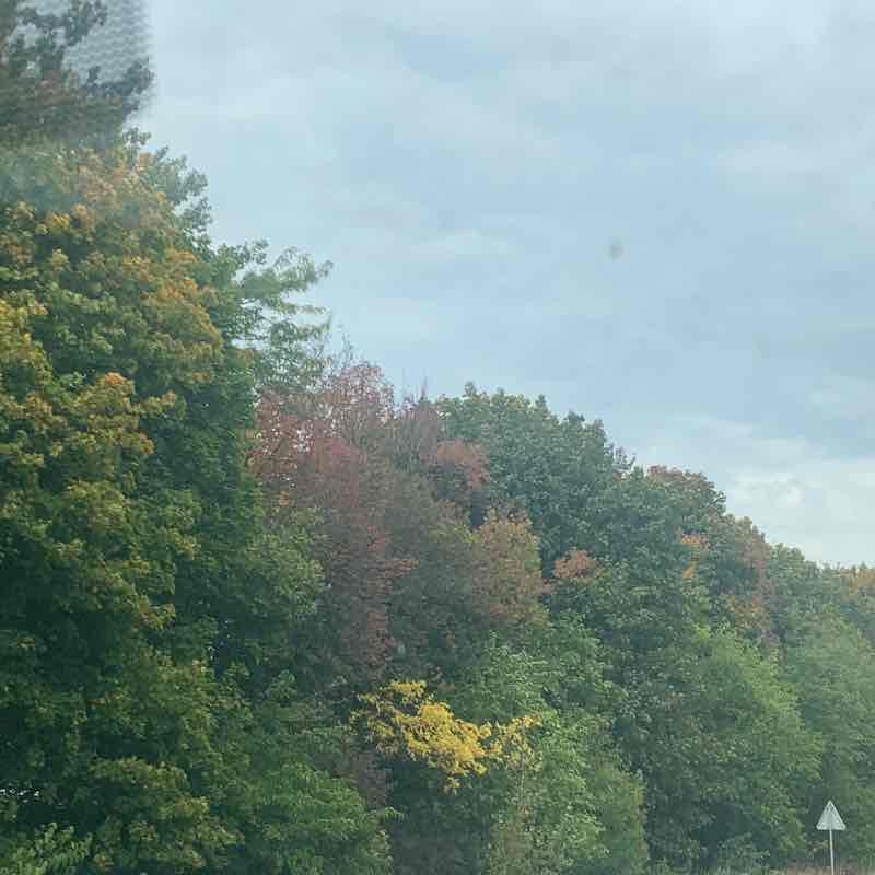 Парк Победы