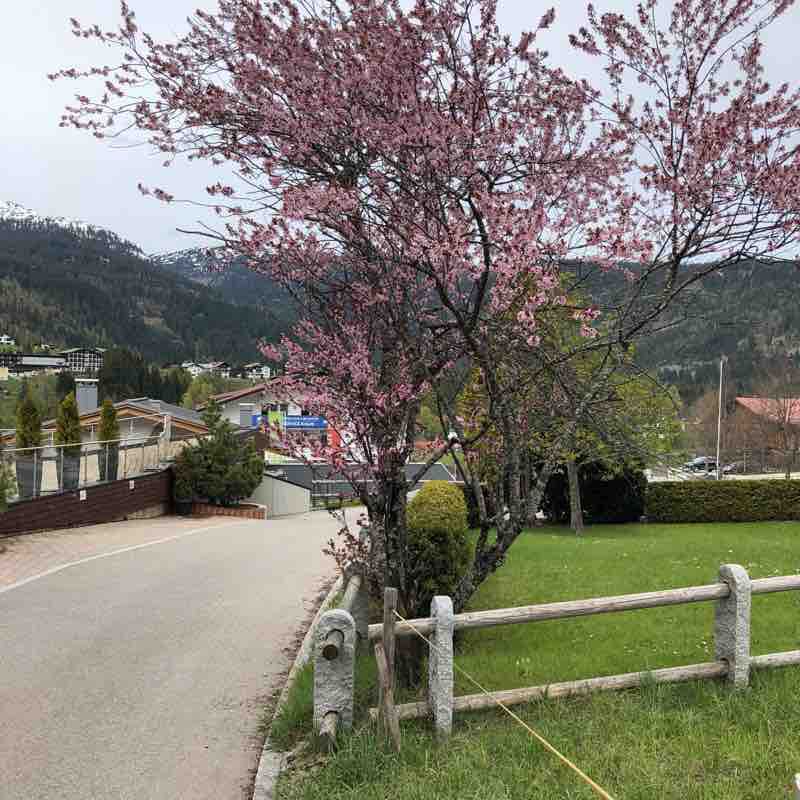 Söllereck >  Riezlern 