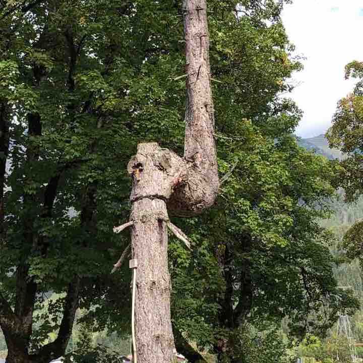 Haldenweg in Oberstdorf 